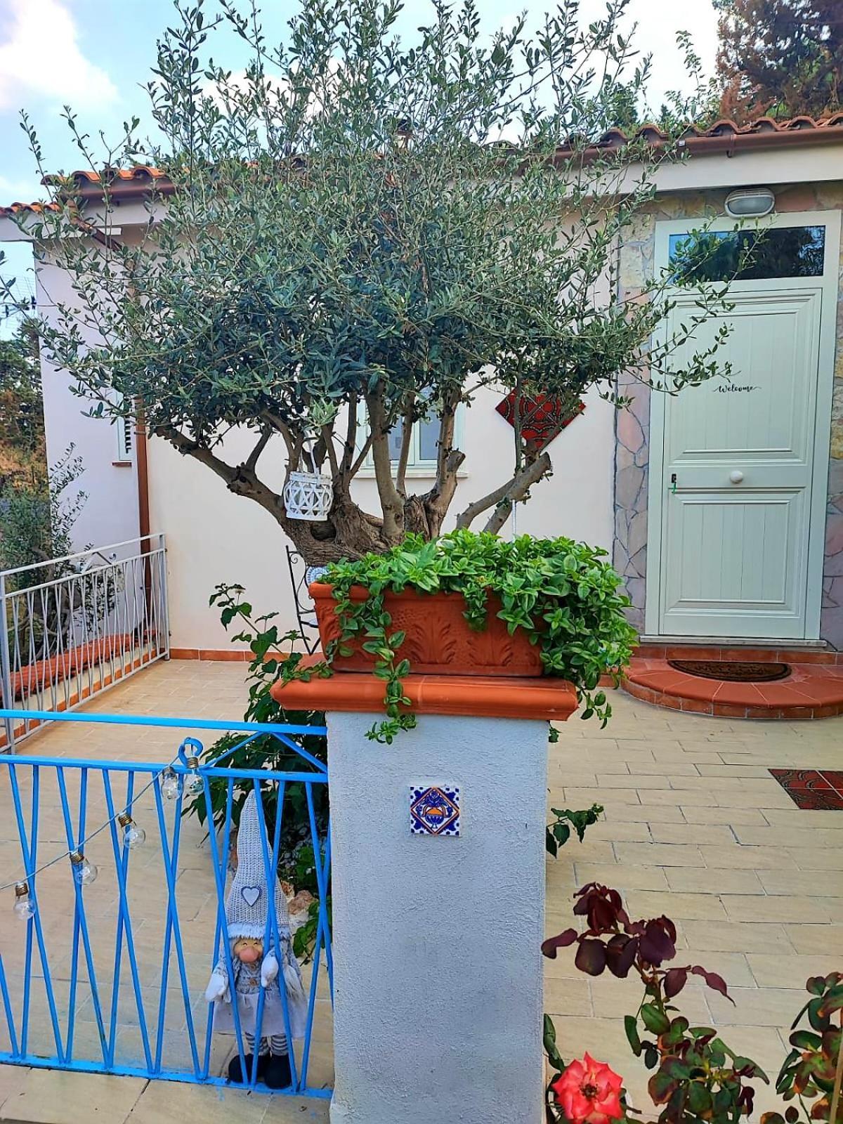 La Casetta Degli Ulivi Palerme Extérieur photo